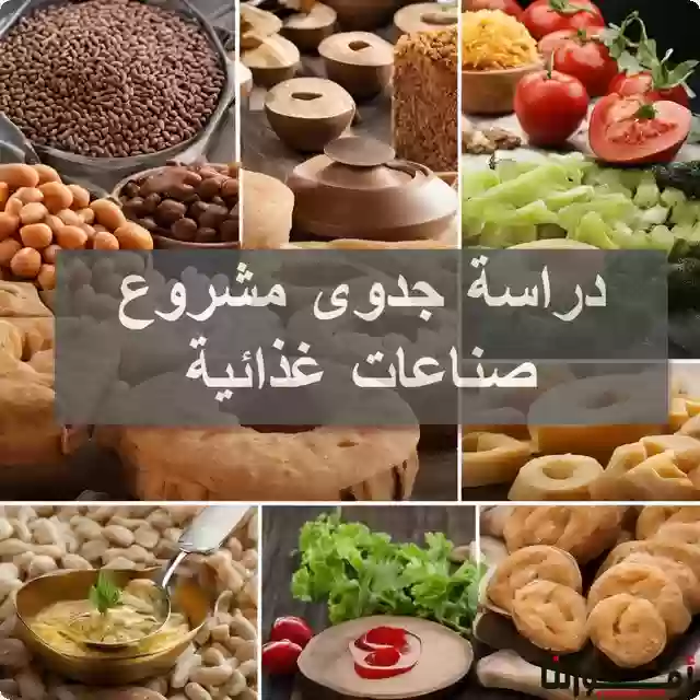 خطوات دراسة جدوى مشروع صناعات غذائية