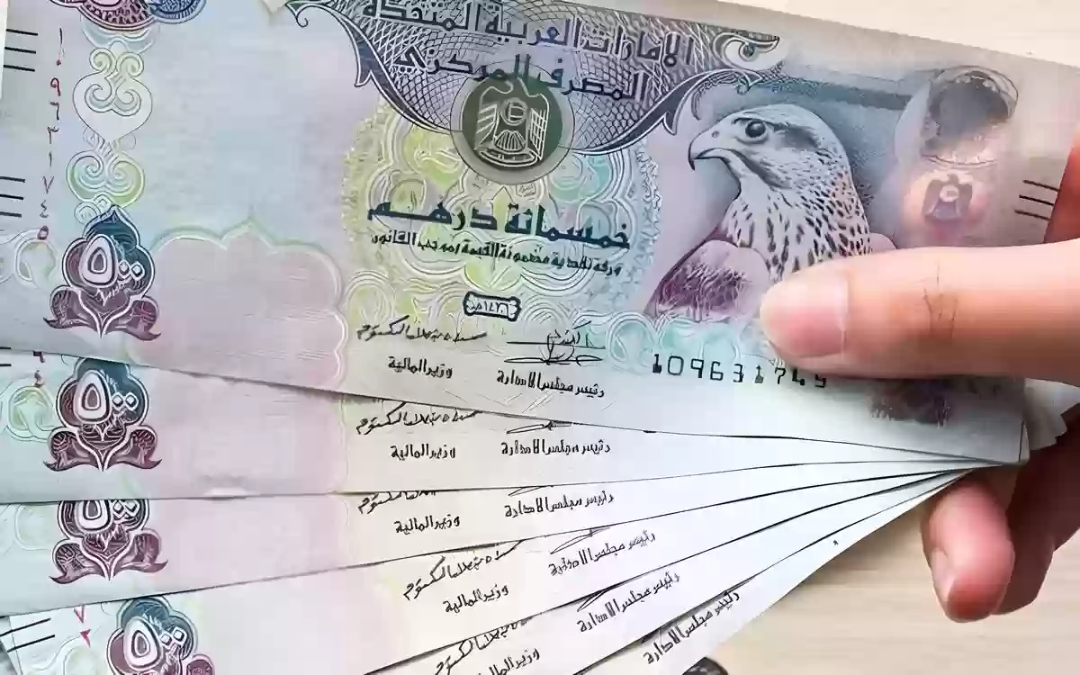 الدرهم الاماراتي